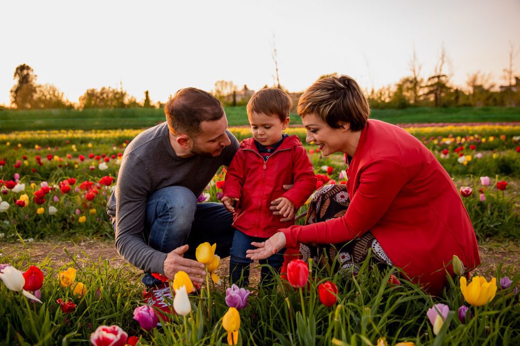 tulipark in famiglia servizio fotografico 0016 1024x683 - Tulipark in famiglia: i miei scatti per un servizio fotografico
